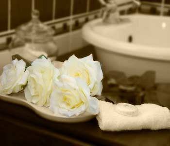A White Rose Guest House Μπλουμφοντέιν Εξωτερικό φωτογραφία